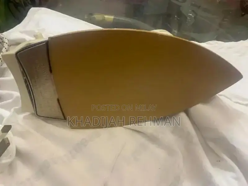 Panasonic Japanese Professional Steam Iron