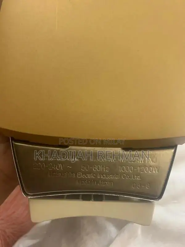 Panasonic Japanese Professional Steam Iron