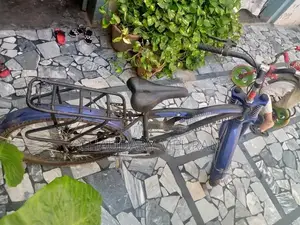 Smart Bicycle - Lightly Used, Excellent Condition