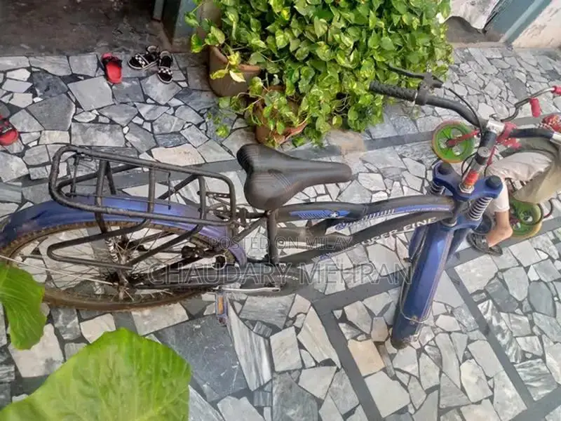 Smart Bicycle - Lightly Used, Excellent Condition
