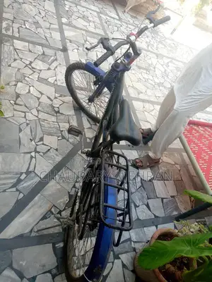 Smart Bicycle - Lightly Used, Excellent Condition