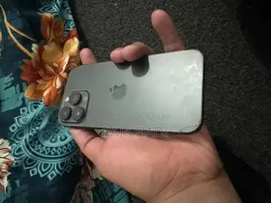 Pro Max 256GB Smartphone with Minor Back Damage