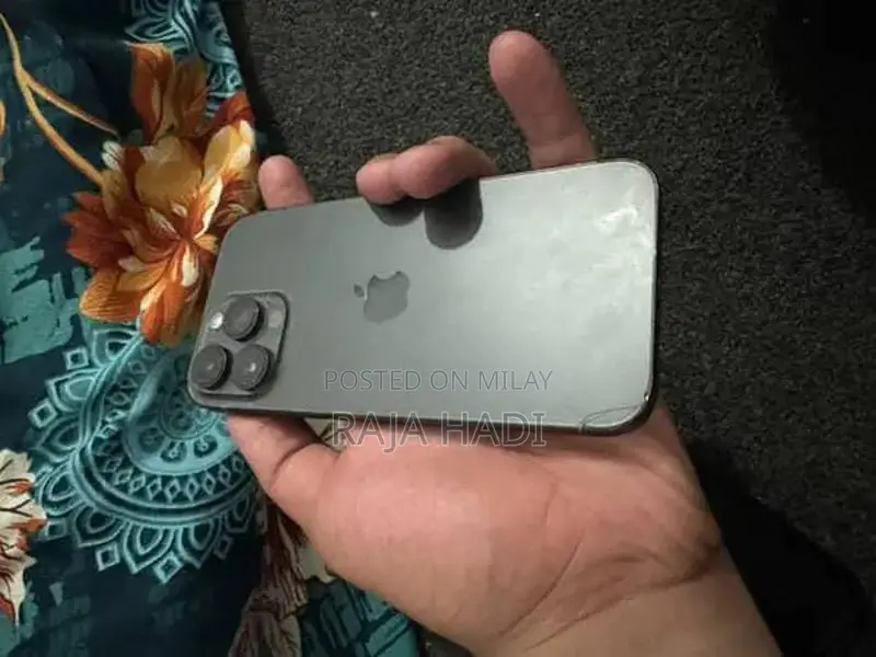 Pro Max 256GB Smartphone with Minor Back Damage