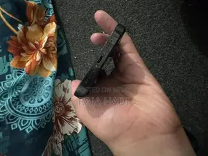 Pro Max 256GB Smartphone with Minor Back Damage