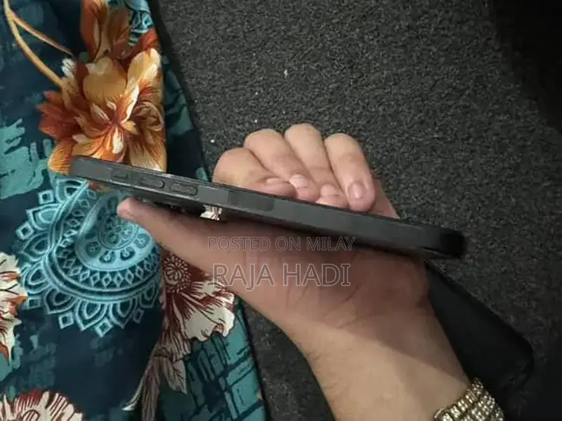 Pro Max 256GB Smartphone with Minor Back Damage