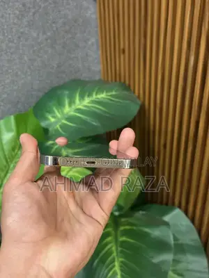 iPhone 13 Pro Max 128GB Factory Unlocked Smartphone