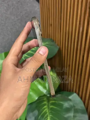 iPhone 13 Pro Max 128GB Factory Unlocked Smartphone