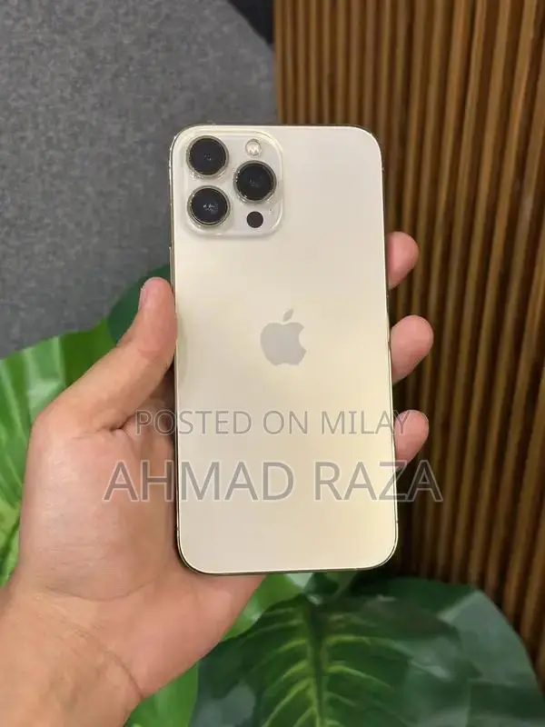 iPhone 13 Pro Max 128GB Factory Unlocked Smartphone