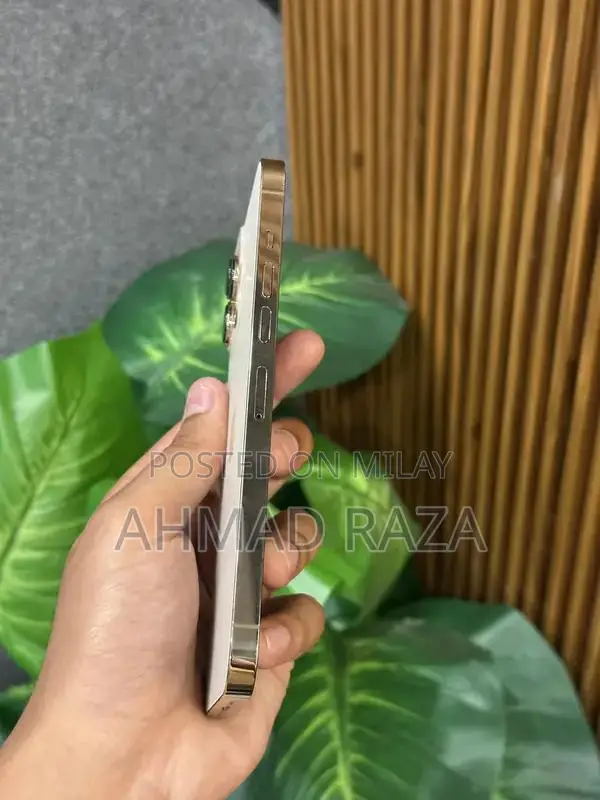 iPhone 13 Pro Max 128GB Factory Unlocked Smartphone