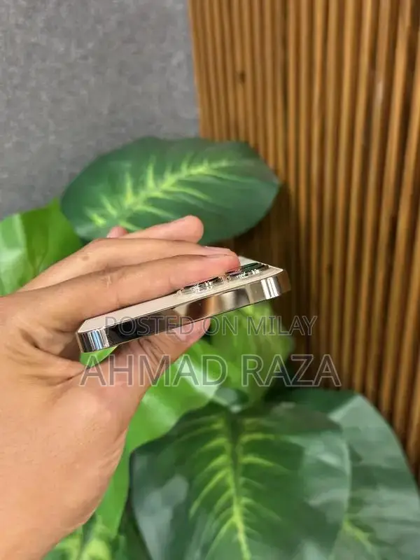 iPhone 13 Pro Max 128GB Factory Unlocked Smartphone