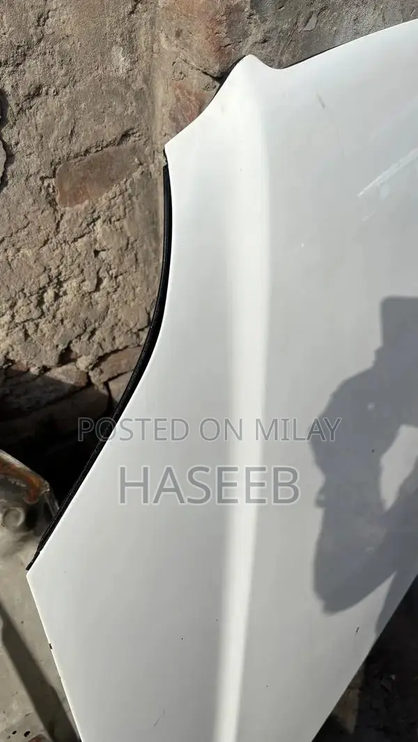 Honda Genuine OEM Bonnet Hood 1996-1998 Model Vehicle Part