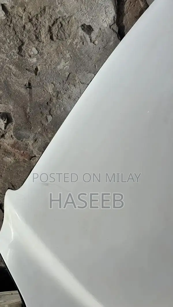 Honda Genuine OEM Bonnet Hood 1996-1998 Model Vehicle Part