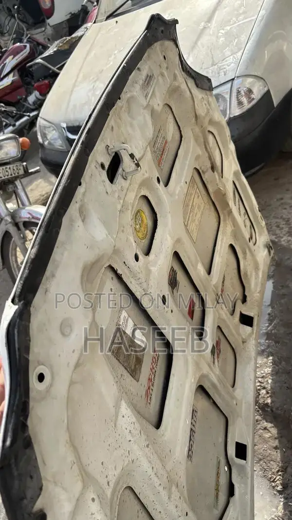 Honda Genuine OEM Bonnet Hood 1996-1998 Model Vehicle Part