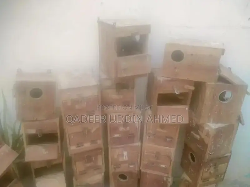 Lovebird Breeding Keekar Cage with Multiple Doors