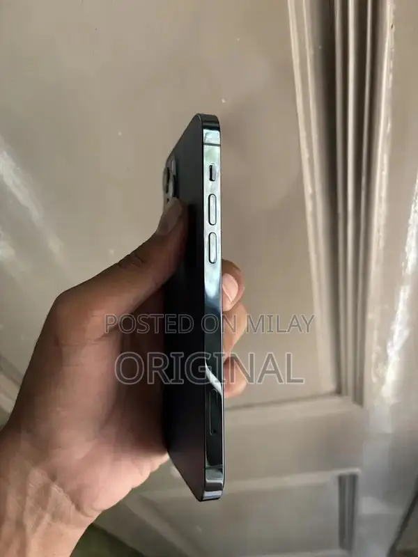 Apple iPhone 12 Pro Waterproof Smartphone