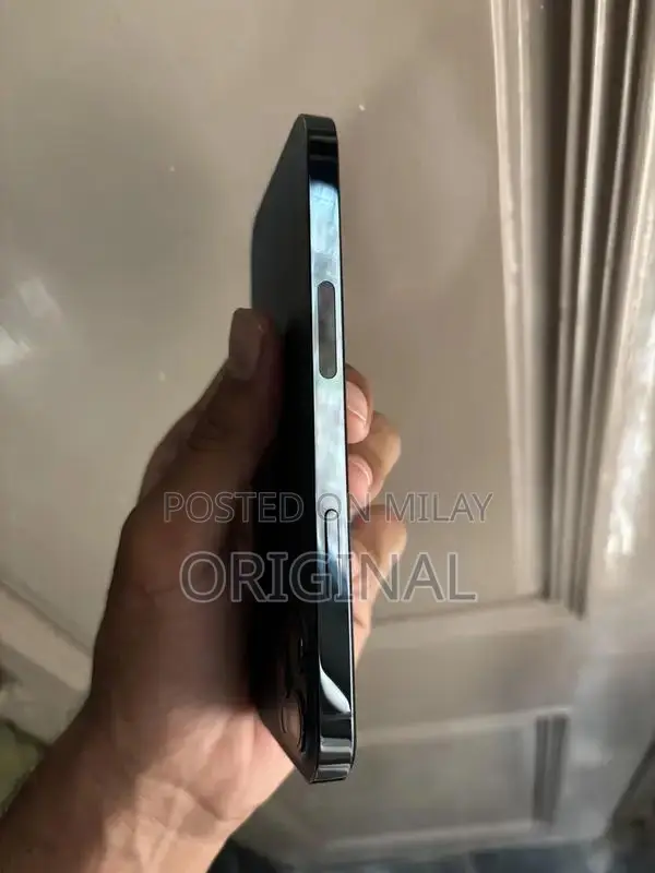 Apple iPhone 12 Pro Waterproof Smartphone