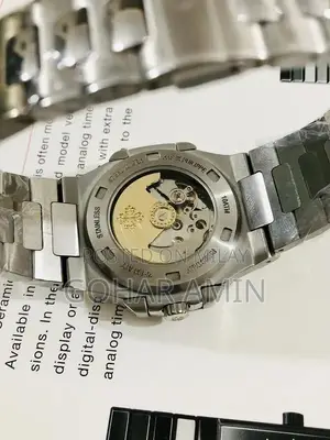 Patek Philippe Automatic Stainless Steel Luxury Watch