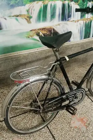 Cycle RS: Versatile Two-Wheeler in Good Condition