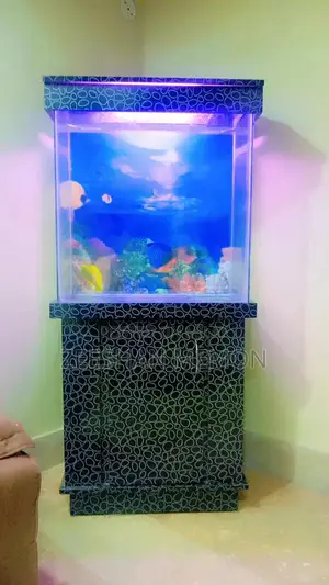 Glass Aquarium with Wooden Stand for Home and Office