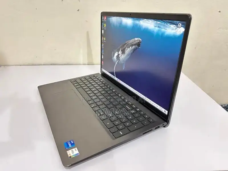 Dell Inspiron 15 Laptop - 11th Gen i5, 24GB RAM, 256GB SSD