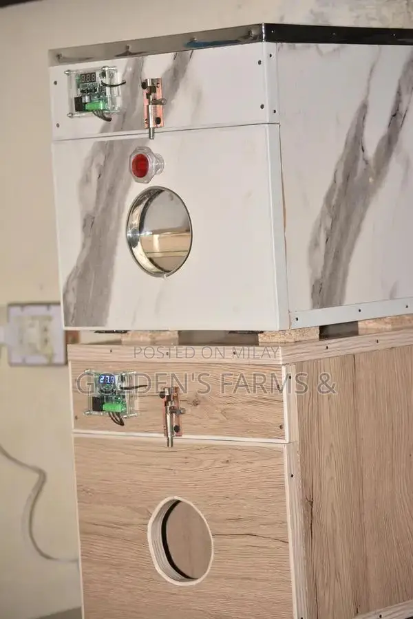 Red Rosella Breeding Pair of Birds