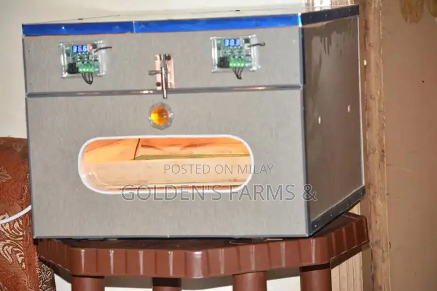 Red Rosella Breeding Pair of Birds