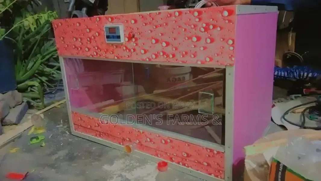 Red Rosella Breeding Pair of Birds