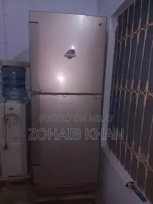 Pel Large Capacity Refrigerator with Spacious Freezer Compartment