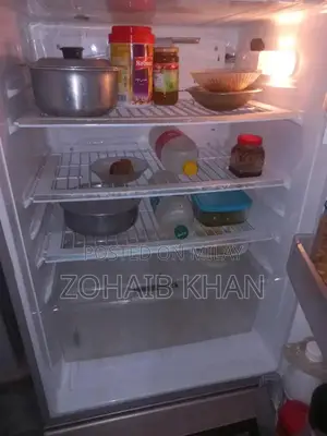 Pel Large Capacity Refrigerator with Spacious Freezer Compartment