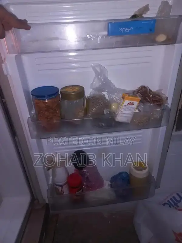 Pel Large Capacity Refrigerator with Spacious Freezer Compartment