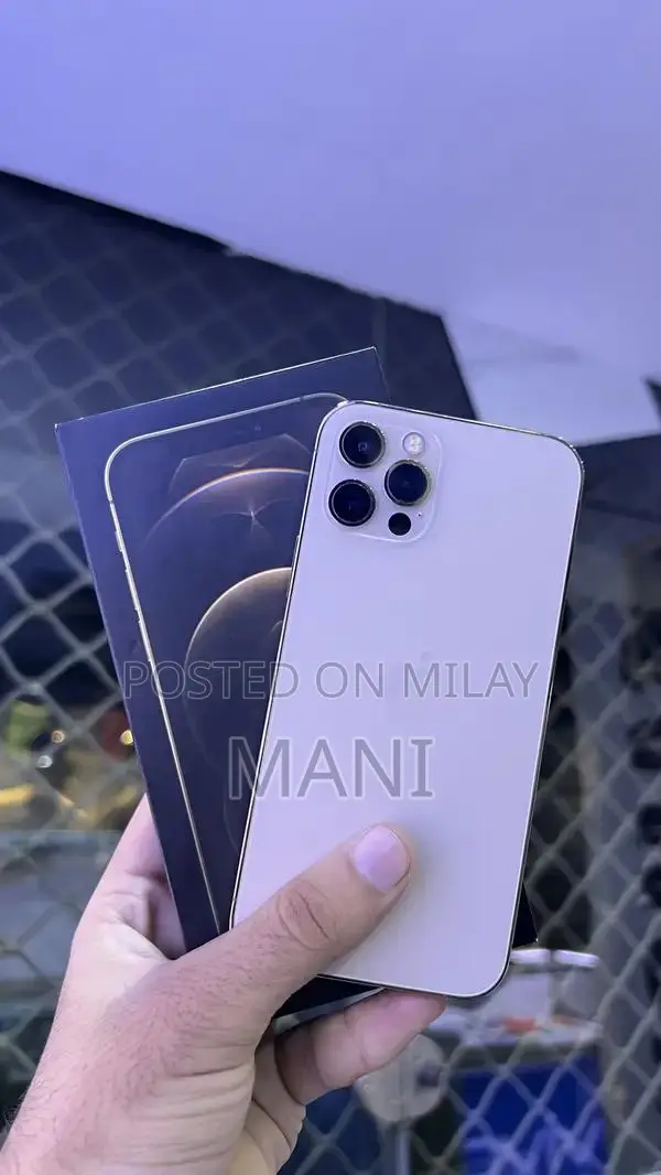 iPhone 12 Pro 256GB Dual SIM Smartphone