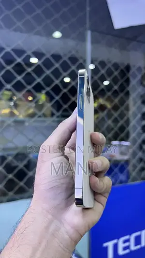 iPhone 12 Pro 256GB Dual SIM Smartphone