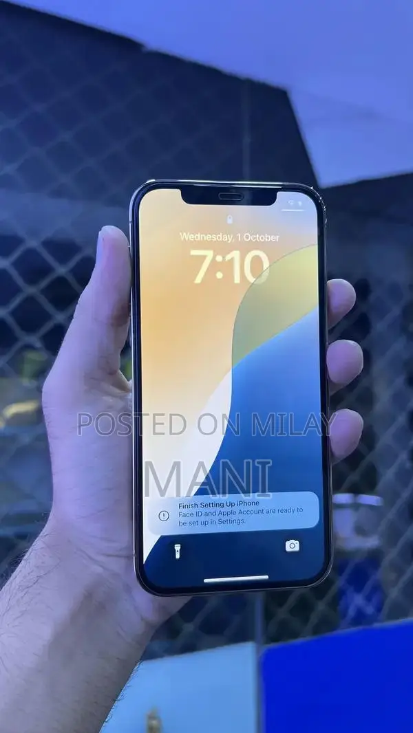 iPhone 12 Pro 256GB Dual SIM Smartphone