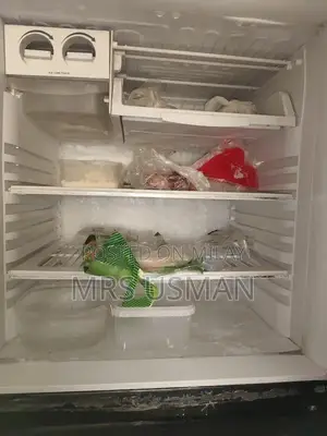 Full Size Refrigerator - Large Capacity Home Appliance