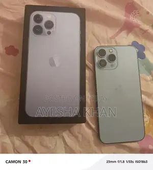 Apple iPhone 13 Pro Max Dual SIM Smartphone