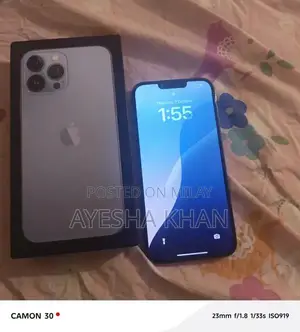 Apple iPhone 13 Pro Max Dual SIM Smartphone