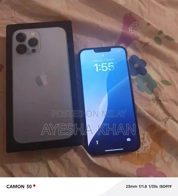 Apple iPhone 13 Pro Max Dual SIM Smartphone