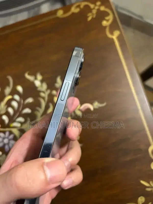 Pro Max Smartphone Sierra Blue 256GB Premium Model