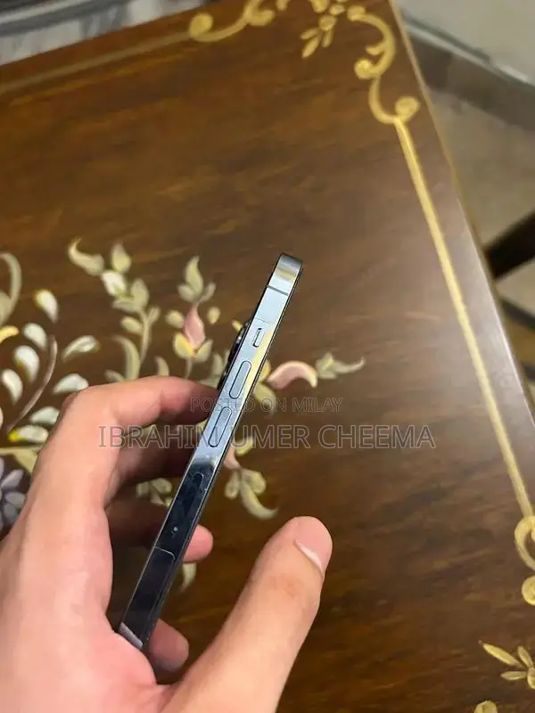 Pro Max Smartphone Sierra Blue 256GB Premium Model