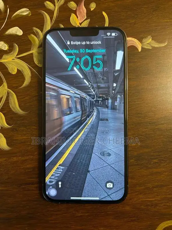 Pro Max Smartphone Sierra Blue 256GB Premium Model