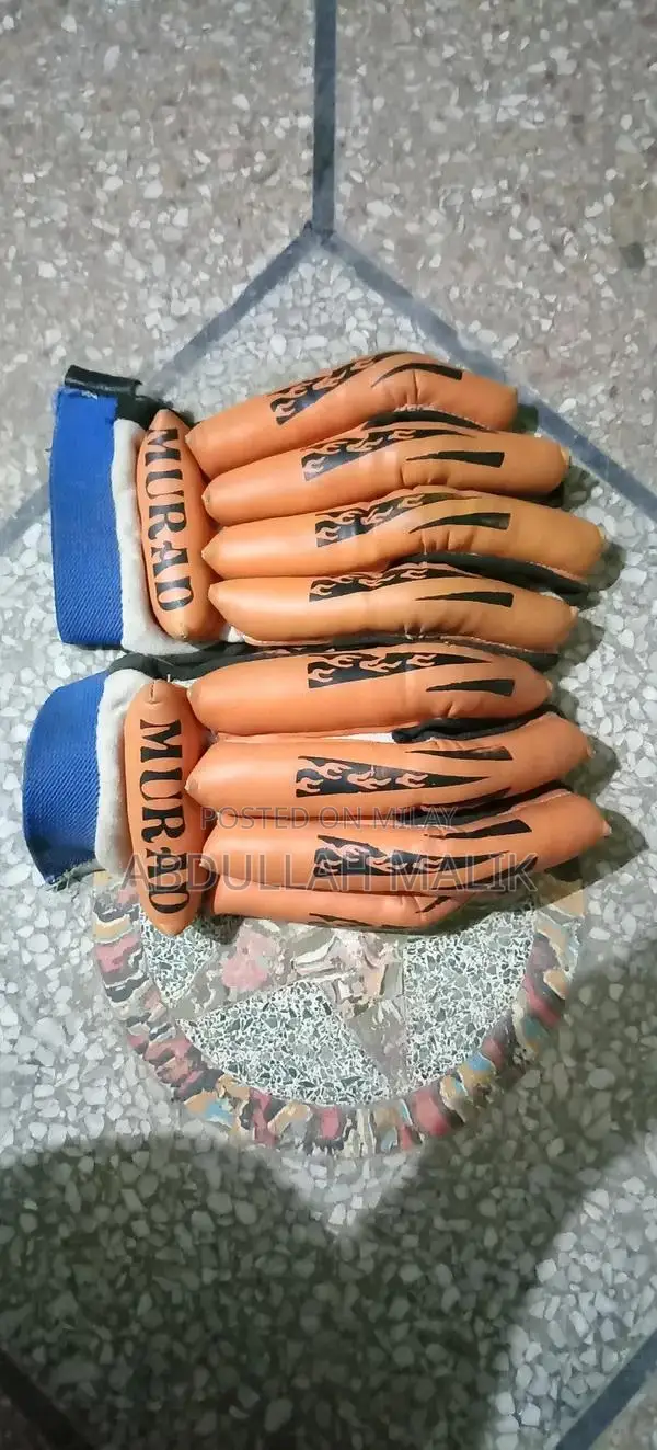 Hard Ball Cricket Kit with Helmet, Protective Gear Set