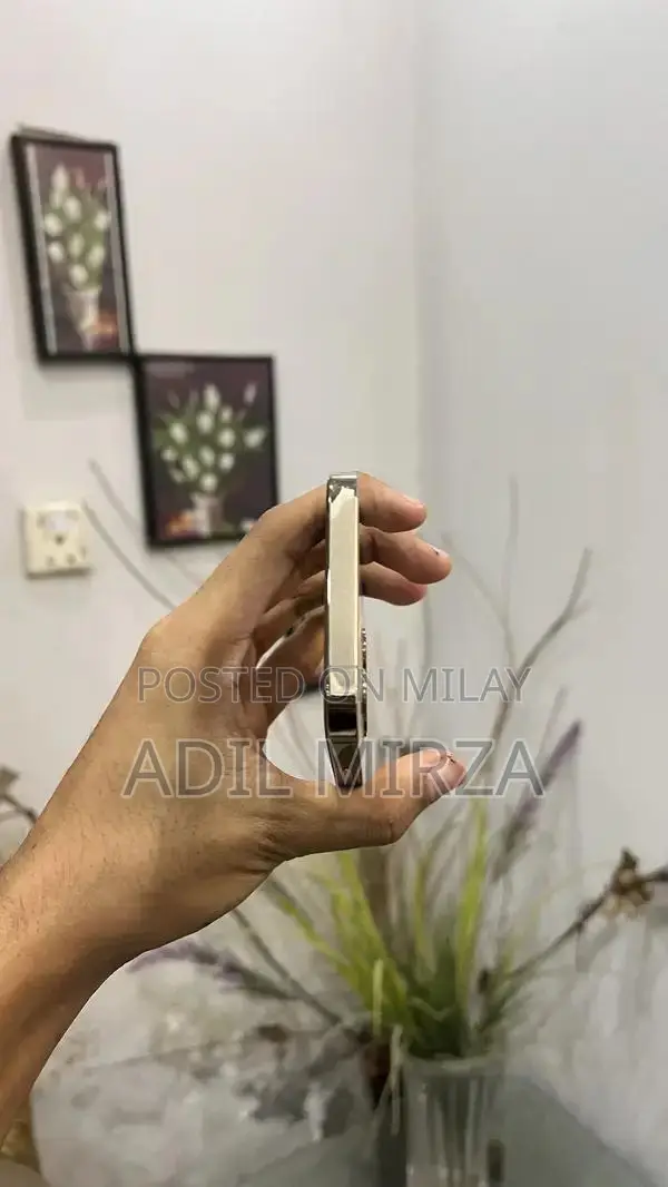 Apple iPhone 12 Pro Unlocked Smartphone 128GB