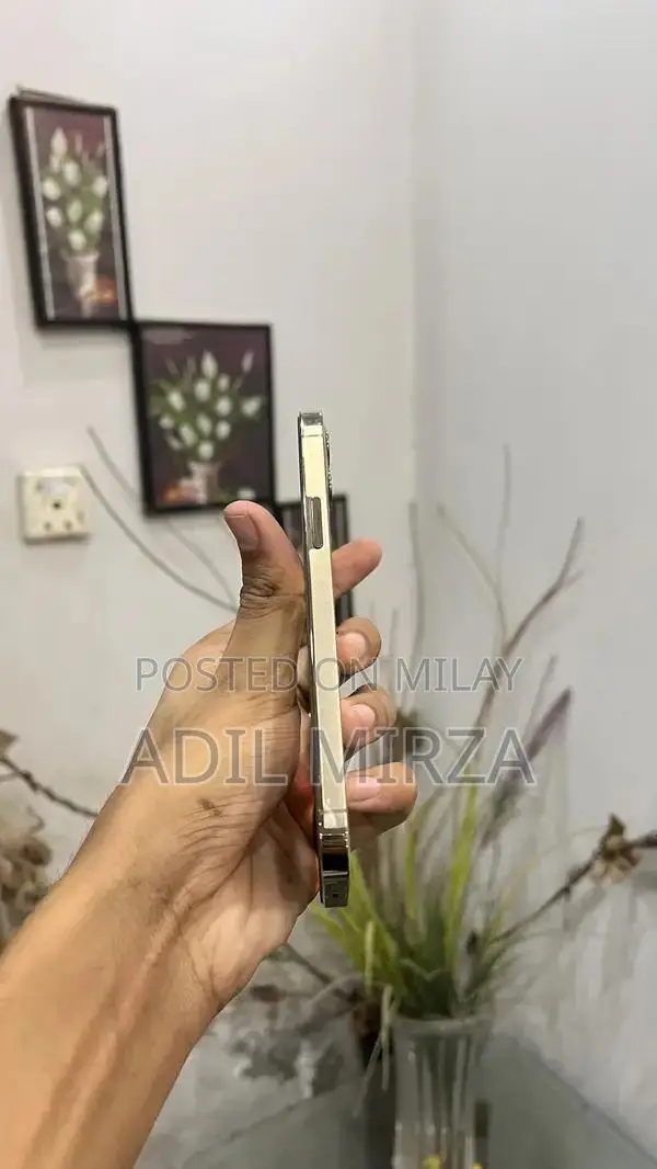 Apple iPhone 12 Pro Unlocked Smartphone 128GB