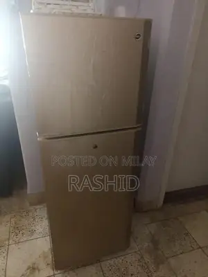 Photo - PEL 2-Door Refrigerator - Original Condition