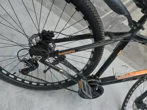 29-Inch Imported Mountain Bike with Aluminum Frame