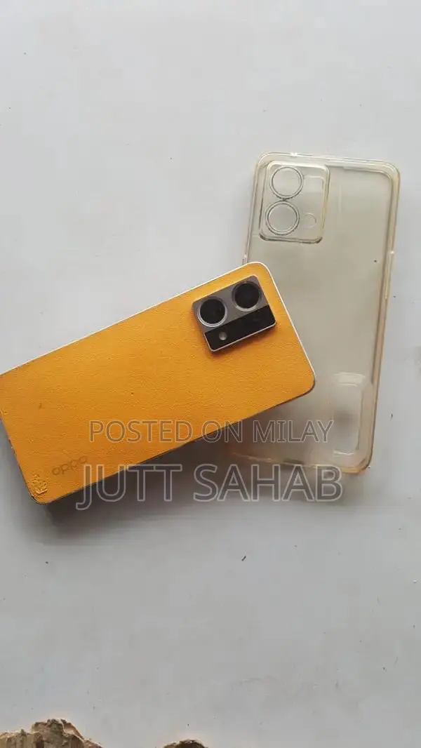 Oppo Mid-Range Smartphone with Panel Replacement