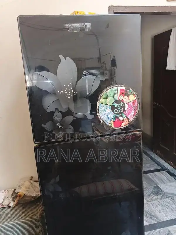 Reliable Home Refrigerator - Functioning with Compressor Issue