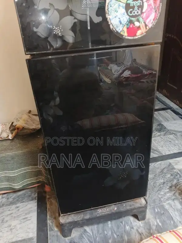 Reliable Home Refrigerator - Functioning with Compressor Issue