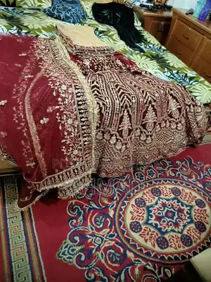 Indian Velvet Bridal Dress with Double Flare and Embroidery