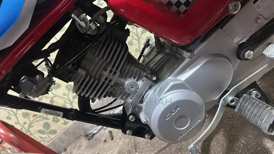 Lush Bike 2023/2024 Model with Modern Design